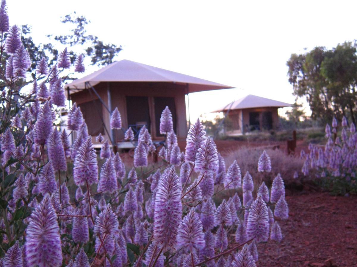 Karijini Eco Retreat Hotel Karijini National Park Bagian luar foto